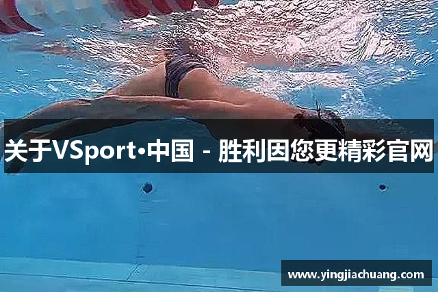 关于VSport·中国 - 胜利因您更精彩官网